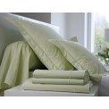 Drap Housse Unis en  Percale