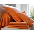 Drap Housse Unis en  Percale